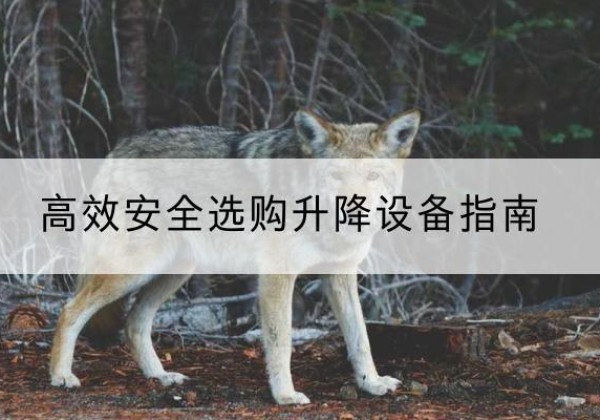 雨山升降货梯厂家推荐-*安全选购升降设备指南