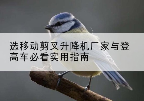 雨山电动升降机厂家-选移动剪叉升降机厂家与登高车必看实用指南