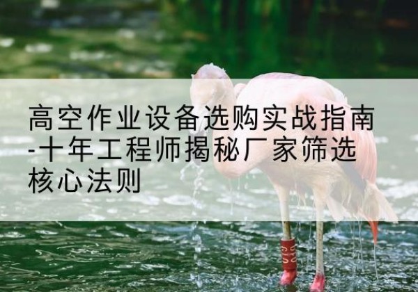 雨山剪叉式升降机厂家-高空作业设备选购实战指南-十年工程师揭秘厂家筛选核心法则